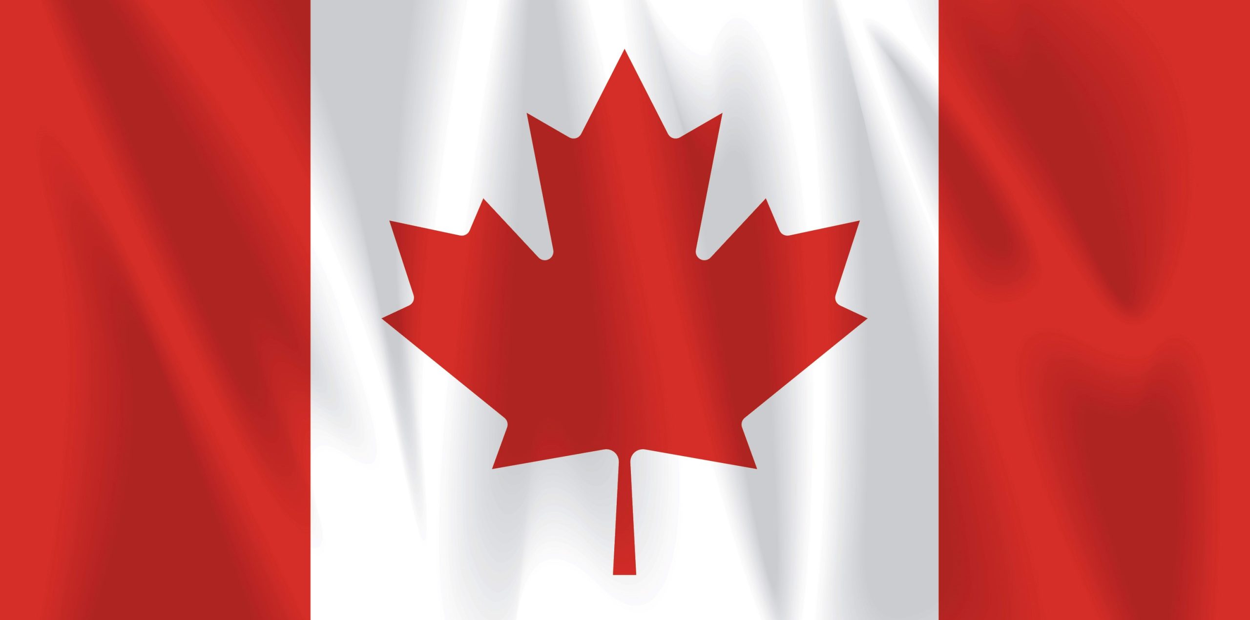 Team Canada Open featured at the Daily Celebrity Challenge on IntoBridge